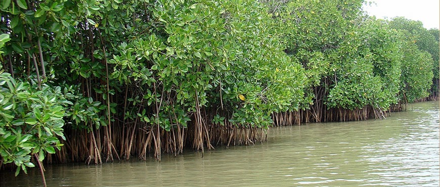 chidambaram3