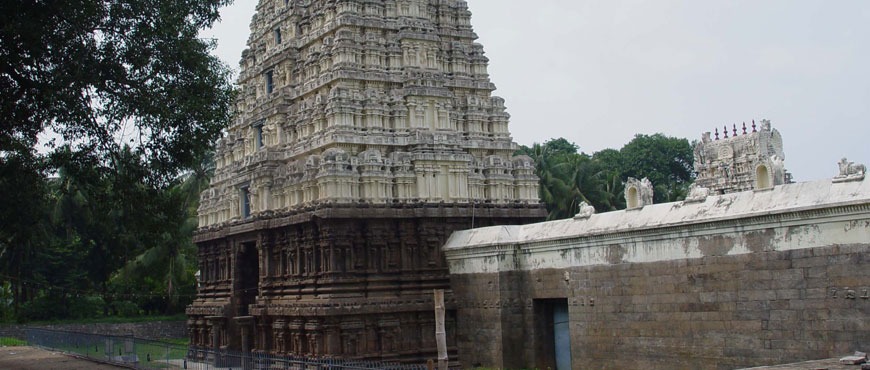 vellore3