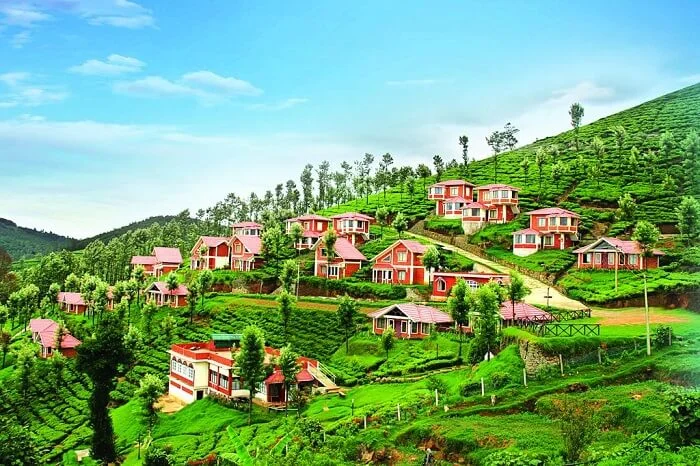 Ooty (1)