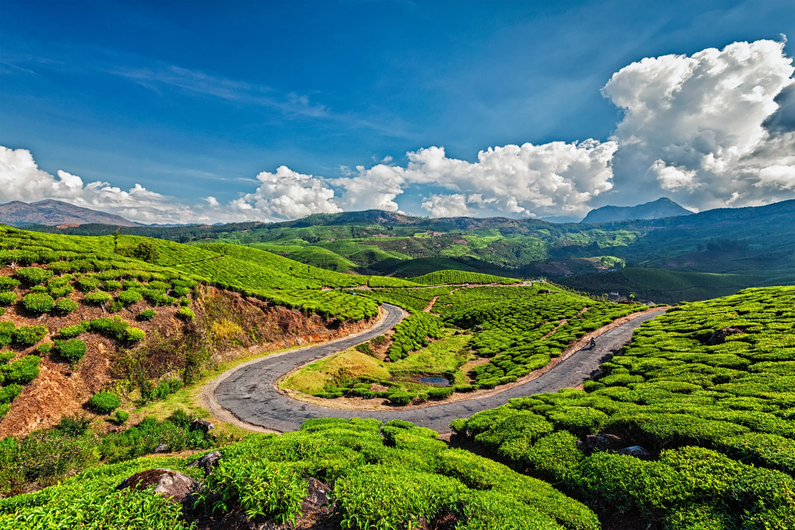 coorg 2