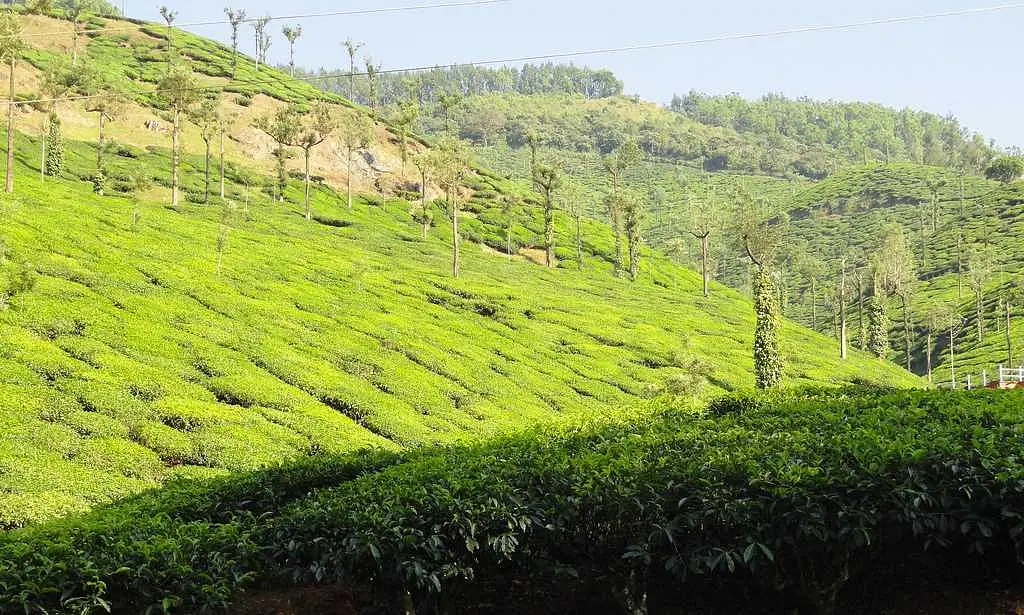 horanadu83929